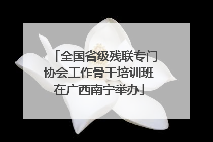 全国省级残联专门协会工作骨干培训班在广西南宁举办