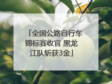 全国公路自行车锦标赛收官 黑龙江队斩获3金