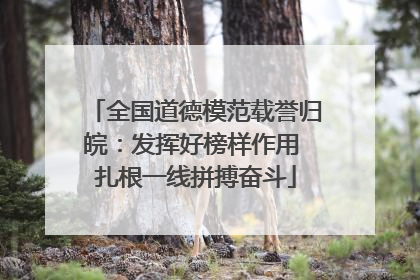 全国道德模范载誉归皖：发挥好榜样作用 扎根一线拼搏奋斗