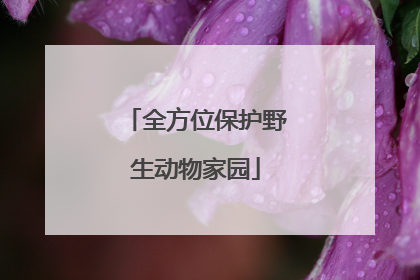 全方位保护野生动物家园