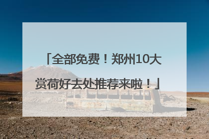 全部免费！郑州10大赏荷好去处推荐来啦！