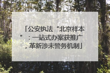 公安执法“北京样本”：一站式办案获推广，革新涉未警务机制