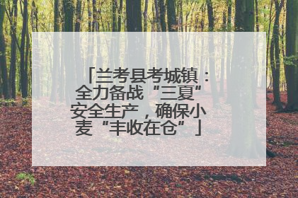 兰考县考城镇：全力备战“三夏”安全生产，确保小麦“丰收在仓”