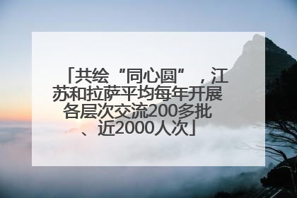 共绘“同心圆”，江苏和拉萨平均每年开展各层次交流200多批、近2000人次