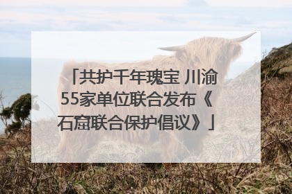 共护千年瑰宝 川渝55家单位联合发布《石窟联合保护倡议》