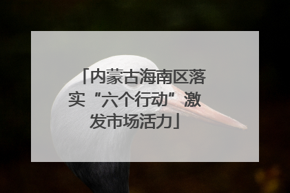 内蒙古海南区落实“六个行动”激发市场活力