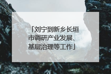 刘宁到新乡长垣市调研产业发展、基层治理等工作