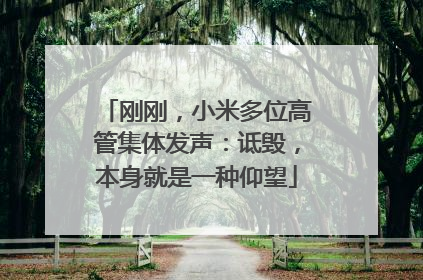 刚刚，小米多位高管集体发声：诋毁，本身就是一种仰望