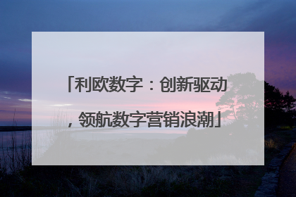 利欧数字：创新驱动，领航数字营销浪潮