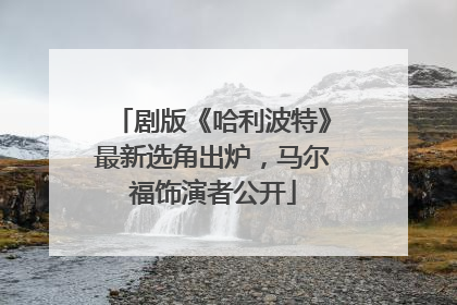剧版《哈利波特》最新选角出炉，马尔福饰演者公开