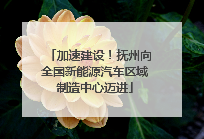 加速建设！抚州向全国新能源汽车区域制造中心迈进