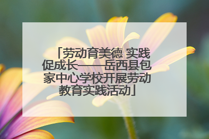 劳动育美德 实践促成长——岳西县包家中心学校开展劳动教育实践活动