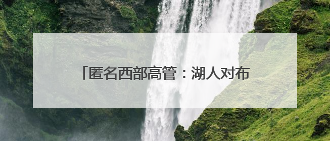 匿名西部高管：湖人对布朗尼有明确的培养计划