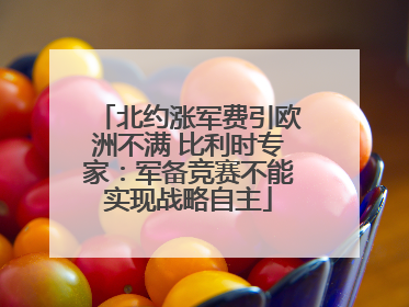 北约涨军费引欧洲不满 比利时专家：军备竞赛不能实现战略自主