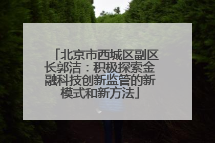 北京市西城区副区长郭洁：积极探索金融科技创新监管的新模式和新方法