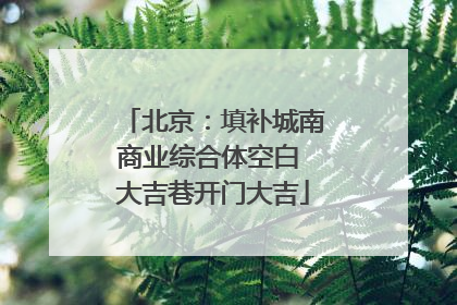 北京：填补城南商业综合体空白 大吉巷开门大吉