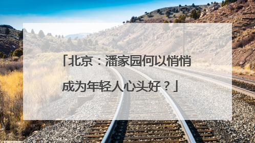 北京：潘家园何以悄悄成为年轻人心头好？