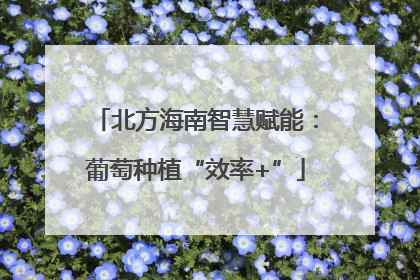 北方海南智慧赋能：葡萄种植“效率+”