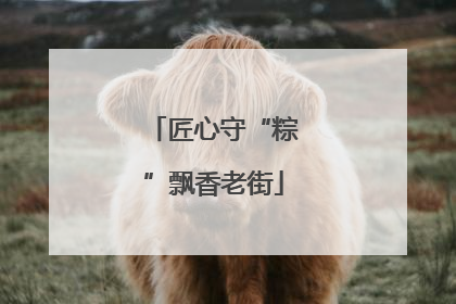 匠心守“粽”飘香老街