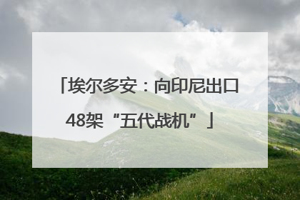 埃尔多安：向印尼出口48架“五代战机”