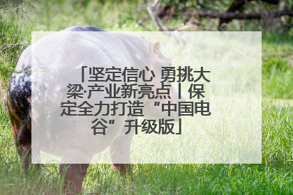 坚定信心 勇挑大梁·产业新亮点丨保定全力打造“中国电谷”升级版