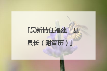 吴新情任福建一县县长（附简历）