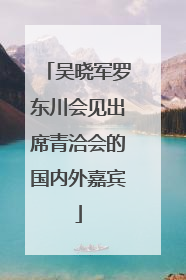 吴晓军罗东川会见出席青洽会的国内外嘉宾