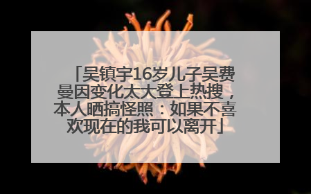 吴镇宇16岁儿子吴费曼因变化太大登上热搜，本人晒搞怪照：如果不喜欢现在的我可以离开