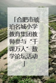 合肥市琥珀名城小学教育集团教师参与“千课万人”数学论坛活动