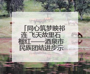 同心筑梦映祁连 飞天故里石榴红——酒泉市民族团结进步示范市创建工作纪实