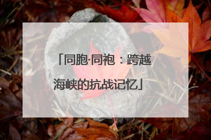 同胞·同袍：跨越海峡的抗战记忆