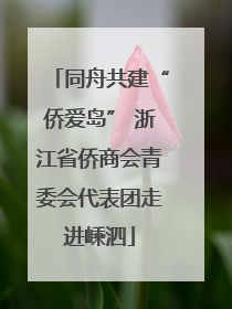 同舟共建“侨爱岛” 浙江省侨商会青委会代表团走进嵊泗