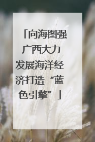 向海图强 广西大力发展海洋经济打造“蓝色引擎”