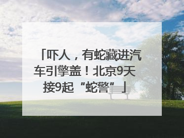 吓人，有蛇藏进汽车引擎盖！北京9天接9起“蛇警”