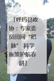 呼玛县政协：专家委员田间“把脉” 科学施策护航春耕