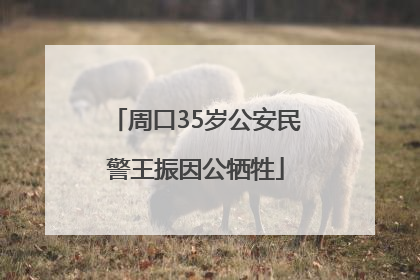 周口35岁公安民警王振因公牺牲