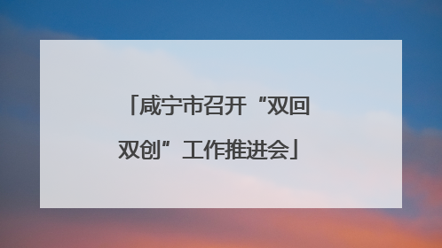 咸宁市召开“双回双创”工作推进会