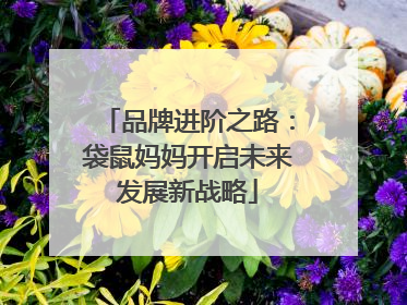 品牌进阶之路：袋鼠妈妈开启未来发展新战略