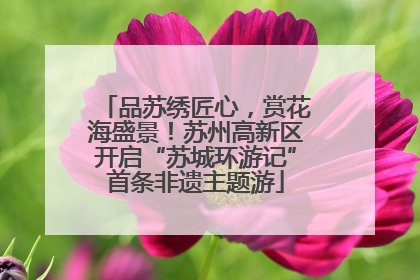 品苏绣匠心，赏花海盛景！苏州高新区开启“苏城环游记”首条非遗主题游