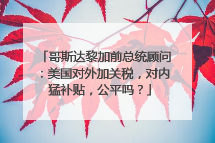 哥斯达黎加前总统顾问：美国对外加关税，对内猛补贴，公平吗？