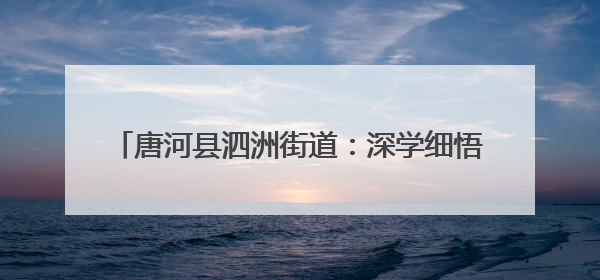 唐河县泗洲街道：深学细悟强本领 履职尽责担使命
