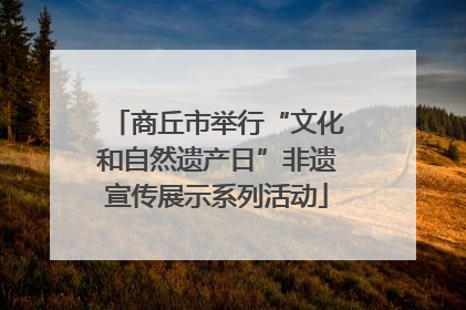 商丘市举行“文化和自然遗产日”非遗宣传展示系列活动
