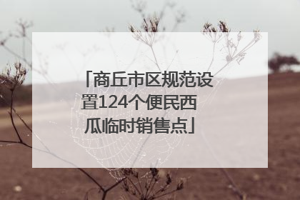 商丘市区规范设置124个便民西瓜临时销售点