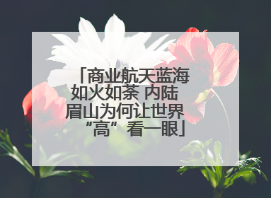 商业航天蓝海如火如荼 内陆眉山为何让世界“高”看一眼
