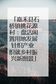 嘉禾县石桥镇桃花源村：盘活闲置用地发展针织产业 织就乡村振兴新图景