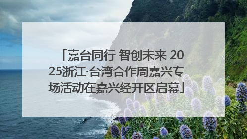 嘉台同行 智创未来 2025浙江·台湾合作周嘉兴专场活动在嘉兴经开区启幕