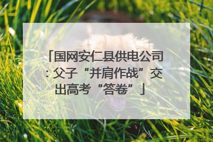 国网安仁县供电公司：父子“并肩作战”交出高考“答卷”