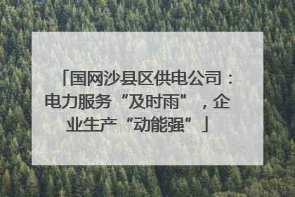 国网沙县区供电公司：电力服务“及时雨”，企业生产“动能强”