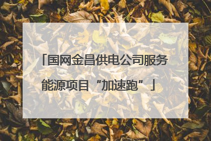 国网金昌供电公司服务能源项目“加速跑”