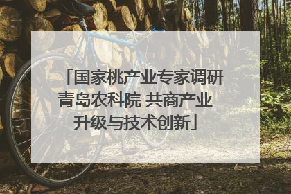 国家桃产业专家调研青岛农科院 共商产业升级与技术创新
